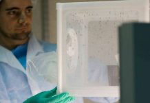 Chance discovery helps fight against malaria Scientists are researching ways of preventing mosquitoes spreading malaria at a laboratory in Spain. GSK