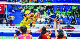 University of Santo Tomas Golden Tigresses’ Angeline Poyos smashes the ball towards the University of Perpetual Help Lady Altas’ side. SHAKEY’S PHOTO