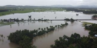 Torrential rains brought by Typhoon "Goring"-enhanced habagat left Antique with P106.1 million in agriculture damages. The Provincial Risk Reduction and Management Council recommended placing the province under a state of calamity. LUCIA AGUPE BANTOLO