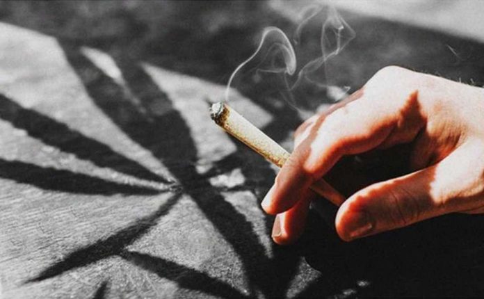 US_resized Marijuana is legal for adult recreational use in 23 states, including all west coast states and in Washington DC, USA. It is permitted for medical use in 38 states.