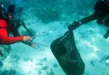 Antique, Misamis Oriental, N. Mindanao eyed as go-to dive sites Members of the Basecamp Divers Iloilo collect crown of thorns of the starfish family during their cleanup drive at Nogas Island in Anini-y, Antique on Sept. 30, 2018. Crown of thorns prey on the corals. PHOTO COURTESY OF BASECAMP DIVERS