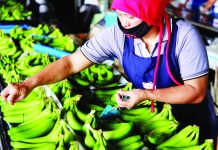 PH-South Korea trade deal to save sagging banana industry The Philippines-Korea Free Trade Agreement will level the banana playing field and make Philippine bananas more competitive in the world market, according to the Pilipino Banana Growers and Exporters Association. KIM IGNACIO/ASIA.NIKKEI.COM PHOTO