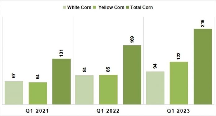 corn_1_resized Figure 1: Volume of Corn Production in Guimaras: Q1 of 2021–2023 (in metric tons)