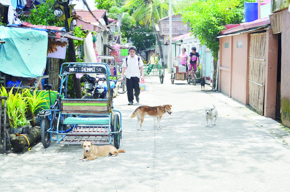 NegOcc rabies cases up; PVO to distribute vaccines