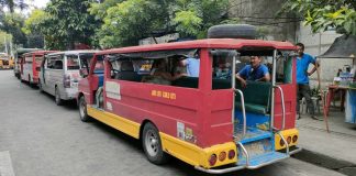 The Land Transportation Franchising and Regulatory Board Region 6 says of the around 2,500 public utility jeepneys (PUJs) in Iloilo City, around 300 individual PUJs are yet to enter a cooperative or corporation. PN PHOTO