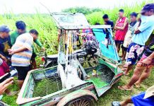 Six alleged New People’s Army rebels were riding a tricycle when they encountered the troops of the Philippine Army’s 47th Infantry Battalion in Purok Lubi, Barangay Tabugon, Kabankalan City, Negros Occidental on Sept. 21. 96.7 XFM BACOLOD FB PHOTO