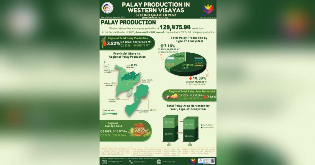 W. Visayas Q2 palay production down 3.82 %