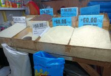 DTI to strictly monitor rice prices amid imposition of price caps President Ferdinand Marcos Jr. approves the joint recommendation of the Department of Agriculture and Department of Trade and Industry to set price ceilings on rice in the country. AJ PALCULLO/PN