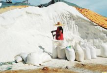Bill to strengthen PH salt industry gets Senate’s nod A worker at a salt farm in a Pangasinan town gathers salt. The Senate Bill No. 2243, or the Philippine Salt Industry Development Act, was approved during the Senate’s plenary session on Monday, Sept. 11. PHOTO COURTESY OF BFAR ILOCOS REGION