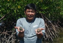 From fishers to breeders: Special training boosts hope for Molocaboc’s abalone The Sagay City government sponsored an abalone hatchery operations training for fisherfolks of the Molocaboc Island to learn how to breed the abalone themselves.