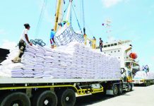 The Philippines’ projected rice importation for the 2023-2024 marketing period is at 3.8 million metric tons, United States Department of Agriculture report showed. PHOTO COURTESY OF ABS-CBN NEWS
