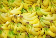 What PH goods will enjoy zero tariff under FTA with South Korea? The Department of Trade and Industry says Korea “committed to remove tariffs on Philippine bananas in five years from entry into force of the agreement.” PHOTO COURTESY OF DA