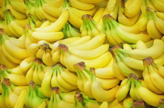 zero tarriff The Department of Trade and Industry says Korea âcommitted to remove tariffs on Philippine bananas in five years from entry into force of the agreement.â PHOTO COURTESY OF DA