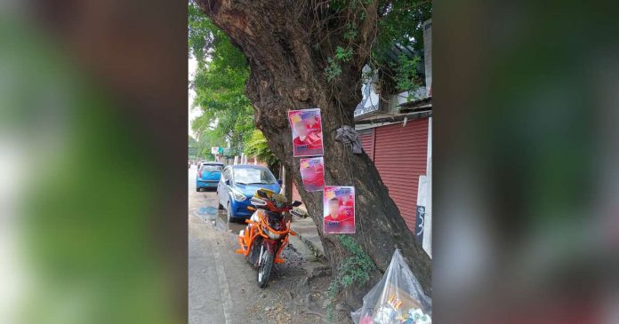 ads on trees_superimposed Campaign materials were posted on a tree in Iloilo City. The City Environment and Natural Resources Office reminded candidates that this is in violation of the law. AJ PALCULLO/PN