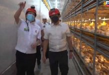 President Ferdinand R. Marcos Jr. (right) attends the inauguration of the state-of-the-art facilities of a poultry farm in Hagonoy, Davao del Sur on Thursday, Oct. 12. SCREENSHOT FROM RADIO TELEVISION MALACAÑANG