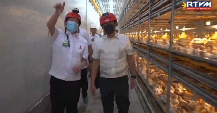 agri_resized President Ferdinand R. Marcos Jr. (right) attends the inauguration of the state-of-the-art facilities of a poultry farm in Hagonoy, Davao del Sur on Thursday, Oct. 12. SCREENSHOT FROM RADIO TELEVISION MALACAÑANG