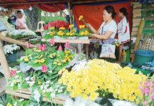 City tightens Halloween security, restricts flower vending Prices of flower arrangements for All Saints’ and All Souls’ days start at P150 in Iloilo City. Prices are expected to increase starting Nov. 1. AJ PALCULLO/PN