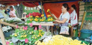 City tightens Halloween security, restricts flower vending Prices of flower arrangements for All Saints’ and All Souls’ days start at P150 in Iloilo City. Prices are expected to increase starting Nov. 1. AJ PALCULLO/PN