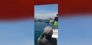 Two fishing vessels were caught in the act of illegal fishing in the seawaters of Caluya, Antique on Saturday, Oct. 21. MDRRMO-CALUYA