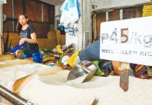 DA bucks reimposition of rice price cap Samahang Industriya ng Agrikultura would be requesting President Ferdinand Marcos Jr. to reimpose the price cap on well-milled rice in November “to preempt new attempts to artificially increase the retail price of rice.” But the Department of Agriculture is against it. MARIA TAN/ABS-CBN NEWS PHOTO