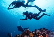 PH vies for 4 int’l tourism awards Divers marvel at the colorful corals under the sea off the coast of Puerto Galera, Oriental Mindoro in this undated photo. DOT PHOTO