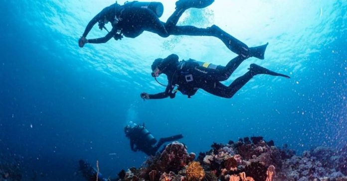 tourism_awards_resized Divers marvel at the colorful corals under the sea off the coast of Puerto Galera, Oriental Mindoro in this undated photo. DOT PHOTO