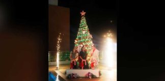 The Ceremonial Lighting of the Christmas tree led by SM Hotels & Conventions Corp Executive Vice President Ms. Peggy Angeles, Bacolod City Councilor Em Ang on behalf of Bacolod City Mayor Hon. Albee Benitez and Park Inn by Radisson Bacolod General Manager Sherwin Lucas.