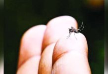 US approves world’s 1st chikungunya vaccine Infection with mosquito-borne chikungunya virus can lead to severe disease and prolonged health problems, particularly for older adults and individuals with underlying medical conditions. GETTY IMAGES
