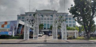 A castle-like structure has already caught the attention of Ilonggos, sans the Christmas lights. The Iloilo provincial government said it is just one added attraction for brighter and more family-friendly provincial capitol grounds. PN PHOTO