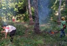 Western Visayas lists 5,500 dengue cases Clustering observed in 31 barangays The municipality of San Joaquin in Iloilo joins the province-wide cleanup aimed at addressing dengue. ILOILO PROVINCIAL HEALTH OFFICE FB PHOTO