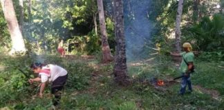 The municipality of San Joaquin in Iloilo joins the province-wide cleanup aimed at addressing dengue. ILOILO PROVINCIAL HEALTH OFFICE FB PHOTO