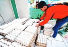 Why egg prices surge as holiday season nears A worker sorts trays of chicken eggs by size inside the Agribusiness Development Center of the Department of Agriculture-Kadiwa store in Quezon City. PNA PHOTO BY BEN BRIONES