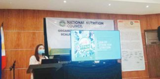 Sheryl C. Sedantes, officer-in-charge Regional Nutrition Program Coordinator of the National Nutrition Council Region 6, presents the Philippine Plan of Action for Nutrition 2023-2028 on Tuesday morning, Nov. 21. PN PHOTO