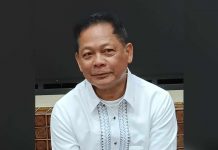 December Ungka flyover repair eyed Oropel