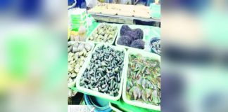 The Bureau of Fisheries and Aquatic Resources advises against consuming shellfish and alamang from the seawaters of Capiz, Aklan, and Iloilo provinces due to the presence of red tide toxin. BFAR-6 PHOTO