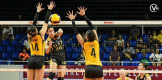 University of Santo Tomas Golden Tigresses’ Regina Jurado smashes the ball towards the defense of Negrense Kiesha Bedonia of Far Eastern University Lady Tamaraws. PHOTO COURTESY OF THE VARSITARIAN