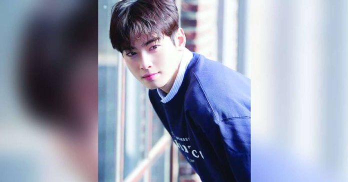 Cha Eun Woo copy_superimposed CHA EUN-WOO