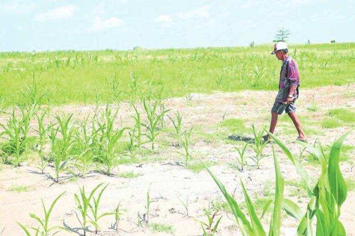el niño pic VILLAMOR VISAYA JR./INQUIRER FILE PHOTO
