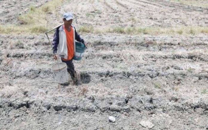 energy_conservation_resized A farmer in Barangay Maname, Naic, Cavite walks along the dried-up rice field. The Philippine Atmospheric, Geophysical, and Astronomical Services Administration expects drought to extend up to second quarter next year. PNA FILE PHOTO BY YANCY LIM