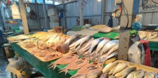 Data by the Philippine Statistics Authority in Region 6 showed that the total production and value of fisheries decreased in the third quarter of 2023 compared to the same period in 2022. The photo above was taken at Iloilo Central Market in Iloilo City. AJ PALCULLO/PN