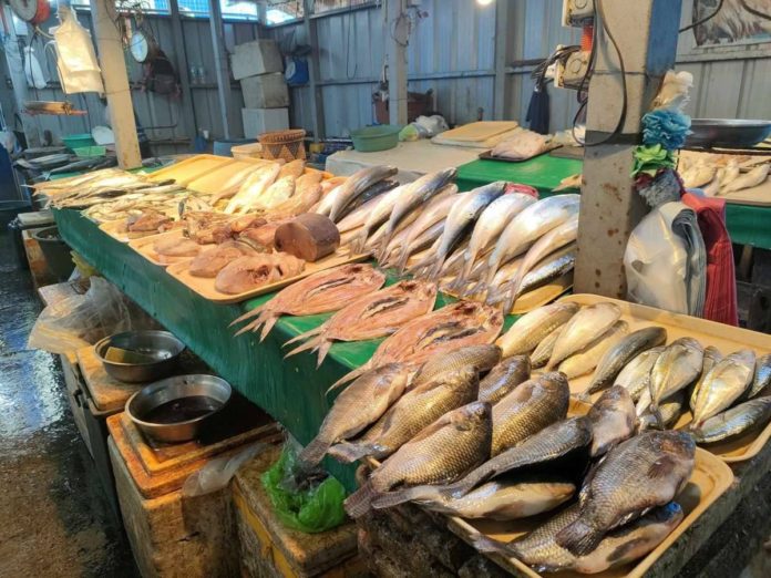 fish_resized Data by the Philippine Statistics Authority in Region 6 showed that the total production and value of fisheries decreased in the third quarter of 2023 compared to the same period in 2022. The photo above was taken at Iloilo Central Market in Iloilo City. AJ PALCULLO/PN