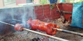 Lechon vendors in Bacolod City are encouraged to have their hogs slaughtered at the abattoir to ensure safety. PN FILE PHOTO