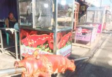 Lechon sees price hike ahead of holidays Prices of lechon being sold in Bacolod City saw an increase days leading to Christmas and New Year. BOMBO RADYO BACOLOD