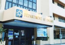 DOE supports SC decision upholding takeover powers The Department of Energy says the country’s foray into nuclear power generation could happen “within the decade” as the government is working on studies such as the sites where to put nuclear power plants. RADYO PILIPINAS PHOTO