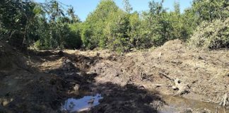 This area has been explored by a mining company in Sitio Looc, Barangay Talotoan, Pan de Azucar Island in Concepcion, Iloilo. May May Mosqueda