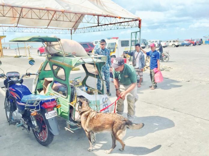 port_pic_resized Personnel of the Philippine Drug Enforcement Agency Region 6 conduct random paneling, profiling, and K9 inspection at the seaport in Barangay Sapao, Dumangas, Iloilo. PDEA REGION VI FB PHOTO