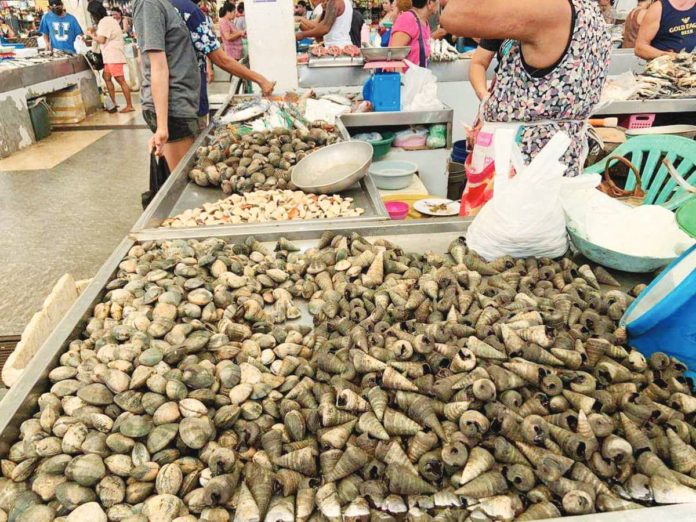 red_tide_resized The Bureau of Fisheries and Aquatic Resources has declared the towns of Panay, Pilar, and President Roxas in Capiz free from red tide toxin. Photo shows shellfish being sold at Teodoro Arcenas Trade Center in Roxas City. 107.3 BRIGADA ROXAS CAPIZ