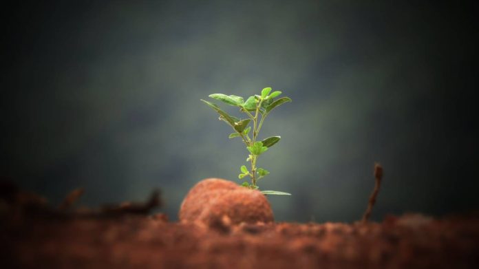 sushobhan-badhai-LrPKL7jOldI-unsplash (1) Photo courtesy of Photo by Sushobhan Badhai on Unsplash