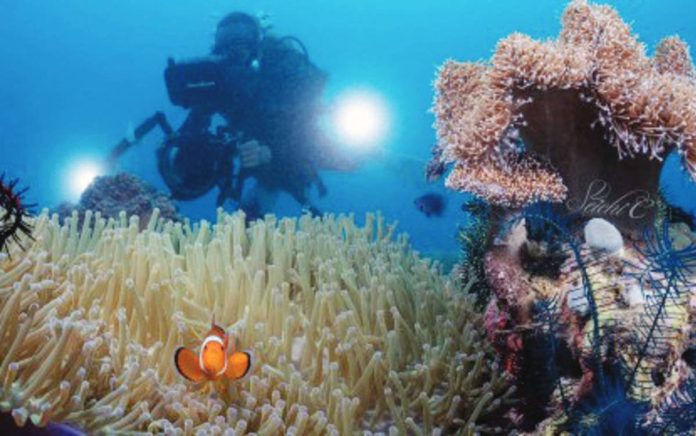 tourism_awards_resized A diver takes photos of corals during the Bohol Loop Dive Expo 2023. Participated by various diving and underwater photography enthusiasts, the first-ever underwater activity in Bohol featured world-class dive sites in Central Visayas. SPARK CHAO VIA BOHOL LOOP DIVE EXPO FB PHOTO