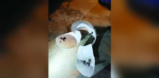 Properties owned by the Barangay Council of Singcang-Airport in Bacolod City were found vandalized on Tuesday night, Jan. 30. CAESAR DISTRITO / FACEBOOK